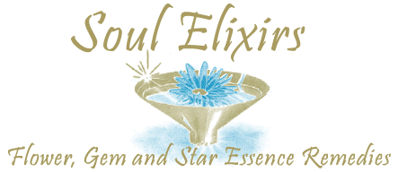 flower remedies gem elixirs